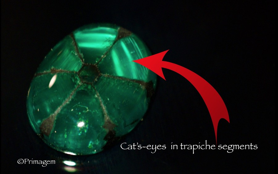 10-trapiche-emerald-cats-eye.thumb.jpg.b101619c6e3359f1e3f10125341d722e.jpg
