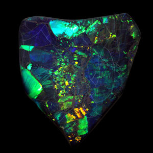 5ac55d0c1c352_TheBlackPriceOpal.jpg.10abf15ceb33282d2d9baff0443d4a18.jpg