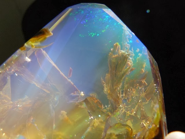 opal3.jpg.8bcb201c1f8cd5a0a22ed0a22d20acd5.jpg
