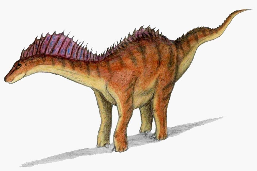 Amargasaurus_02f7.jpg