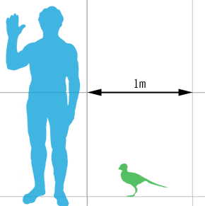 ashdown_scale.png