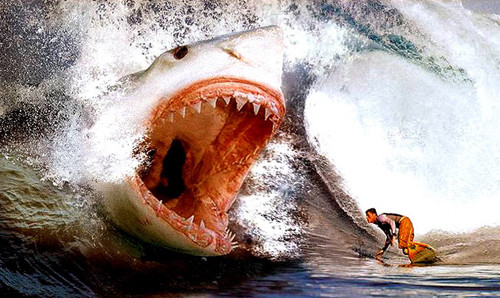 megalodon-vs-surfer.jpg