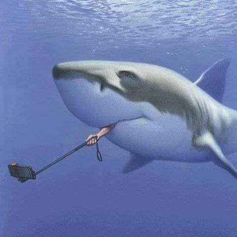 WhatsApp Image 2018-07-23 at 14.41.13.jpeg