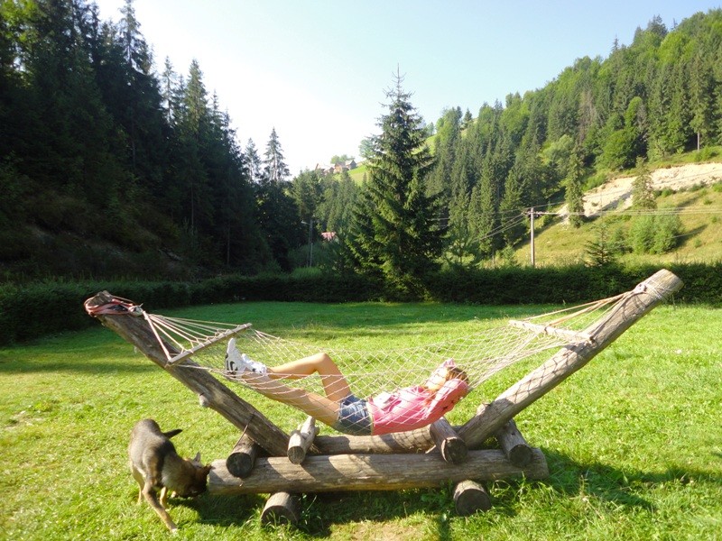 hamac.jpg.7eba3cfb372a8d59d46c5b198f535739.jpg