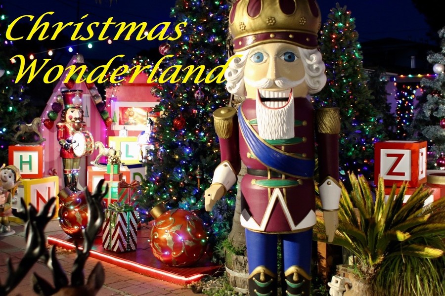 1615439101_christmaswonderland.thumb.jpeg.5fbef247b0e666f53eeb84d5b64c6a58.jpeg