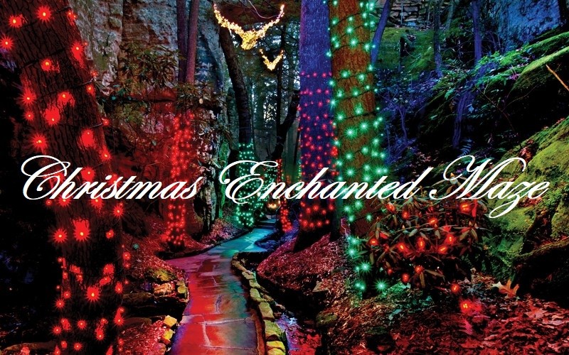 361833016_ChristmasEnchantedMaze.jpg.303d60e41c4fa3d801c1abe0643abb66.jpg