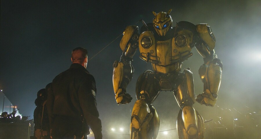 bumblebee02.thumb.jpg.ff4d75a4c29e107061e3e791fdef2eb5.jpg
