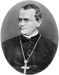 3 Gregor Mendel.jpg