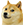 :doge: